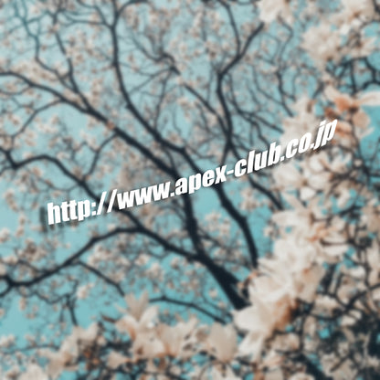 Apexclub.co.jp Side Skirt Banner Vinyl