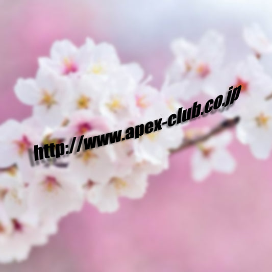 Apexclub.co.jp Side Skirt Banner Vinyl